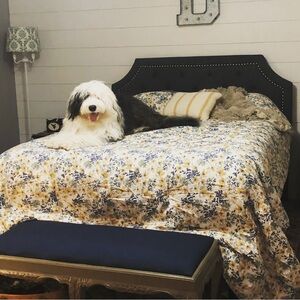 Meet your Posher, Kristen